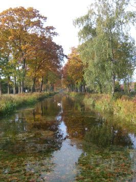 De Peel : Kanaalweg, Herbstimpressionen
